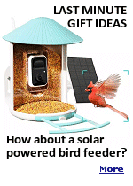 With the hustle and bustle of the holiday season, it can be easy to fall behind on your Christmas shopping. Before you know it, you're rushing down the aisle at your local department store and scrambling to wrap a gift in the car. But you can easily skip all that hassle by ordering online instead of battling the cold and crowds. Stores like Amazon offer quick shipping if you're in a pinch. ''Better Homes and Gardens'' shows some of their favorite gifts that are on top of everyone's wish lists.